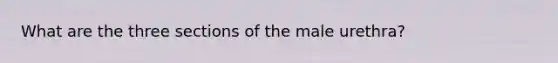 What are the three sections of the male urethra?