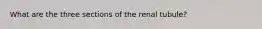 What are the three sections of the renal tubule?