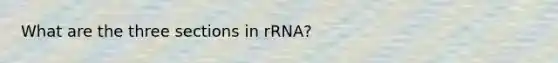 What are the three sections in rRNA?