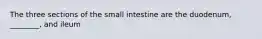 The three sections of the small intestine are the duodenum, ________, and ileum