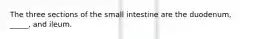 The three sections of the small intestine are the duodenum, _____, and ileum.