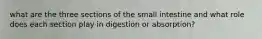 what are the three sections of the small intestine and what role does each section play in digestion or absorption?