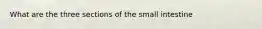 What are the three sections of the small intestine