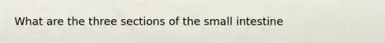 What are the three sections of the small intestine