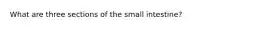 What are three sections of the small intestine?