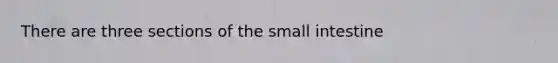 There are three sections of the small intestine