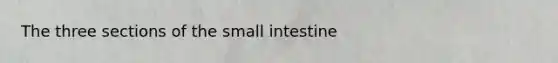 The three sections of the small intestine