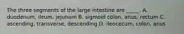 The three segments of the large intestine are _____. A. duodenum, ileum, jejunum B. sigmoid colon, anus, rectum C. ascending, transverse, descending D. ileocecum, colon, anus