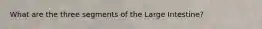 What are the three segments of the Large Intestine?