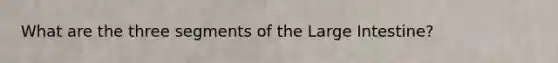 What are the three segments of the <a href='https://www.questionai.com/knowledge/kGQjby07OK-large-intestine' class='anchor-knowledge'>large intestine</a>?