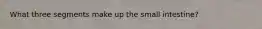 What three segments make up the small intestine?