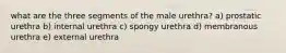 what are the three segments of the male urethra? a) prostatic urethra b) internal urethra c) spongy urethra d) membranous urethra e) external urethra