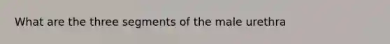 What are the three segments of the male urethra