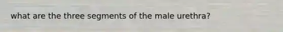 what are the three segments of the male urethra?