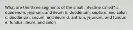 What are the three segments of the small intestine called? a. duodenum, jejunum, and ileum b. duodenum, septum, and colon c. duodenum, cecum, and ileum d. antrum, jejunum, and fundus e. fundus, ileum, and colon