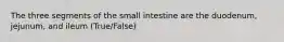 The three segments of the small intestine are the duodenum, jejunum, and ileum (True/False)