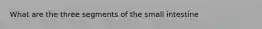 What are the three segments of the small intestine