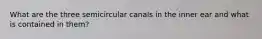 What are the three semicircular canals in the inner ear and what is contained in them?