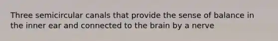 Three semicircular canals that provide the sense of balance in the inner ear and connected to the brain by a nerve