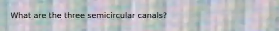 What are the three semicircular canals?