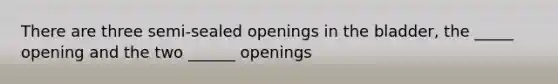 There are three semi-sealed openings in the bladder, the _____ opening and the two ______ openings