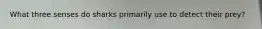 What three senses do sharks primarily use to detect their prey?