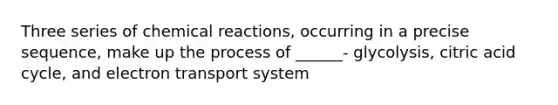 Three series of chemical reactions, occurring in a precise sequence, make up the process of ______- glycolysis, citric acid cycle, and electron transport system