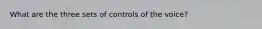 What are the three sets of controls of the voice?