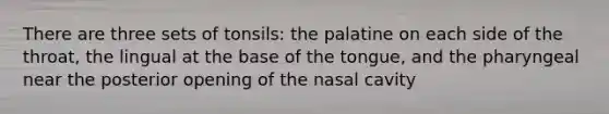 There are three sets of tonsils: the palatine on each side of the throat, the lingual at the base of the tongue, and the pharyngeal near the posterior opening of the nasal cavity