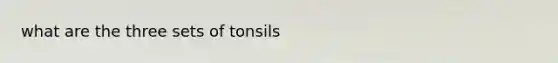 what are the three sets of tonsils