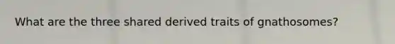 What are the three shared derived traits of gnathosomes?