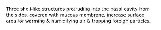 Three shelf-like structures protruding into the nasal cavity from the sides, covered with mucous membrane, increase surface area for warming & humidifying air & trapping foreign particles.