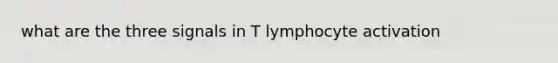 what are the three signals in T lymphocyte activation