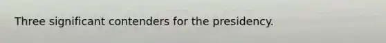 Three significant contenders for the presidency.