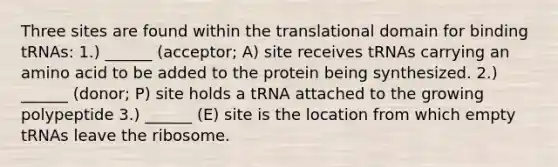 Three sites are found within the translational domain for binding tRNAs: 1.) ______ (acceptor; A) site receives tRNAs carrying an amino acid to be added to the protein being synthesized. 2.) ______ (donor; P) site holds a tRNA attached to the growing polypeptide 3.) ______ (E) site is the location from which empty tRNAs leave the ribosome.