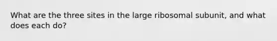 What are the three sites in the large ribosomal subunit, and what does each do?