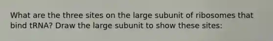 What are the three sites on the large subunit of ribosomes that bind tRNA? Draw the large subunit to show these sites: