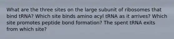 What are the three sites on the large subunit of ribosomes that bind tRNA? Which site binds amino acyl tRNA as it arrives? Which site promotes peptide bond formation? The spent tRNA exits from which site?