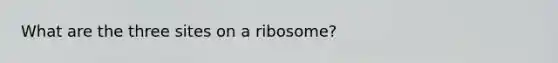 What are the three sites on a ribosome?