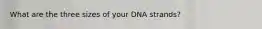 What are the three sizes of your DNA strands?