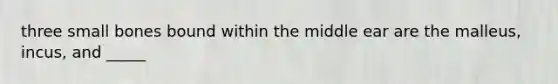 three small bones bound within the middle ear are the malleus, incus, and _____