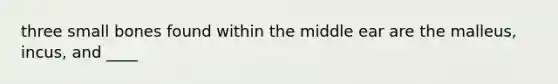 three small bones found within the middle ear are the malleus, incus, and ____