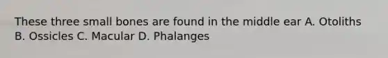 These three small bones are found in the middle ear A. Otoliths B. Ossicles C. Macular D. Phalanges