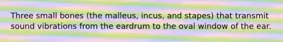 Three small bones (the malleus, incus, and stapes) that transmit sound vibrations from the eardrum to the oval window of the ear.