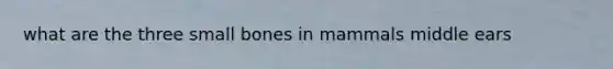 what are the three small bones in mammals middle ears
