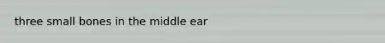 three small bones in the middle ear