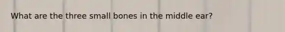 What are the three small bones in the middle ear?