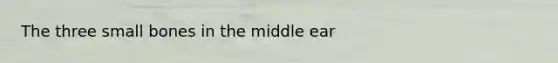 The three small bones in the middle ear