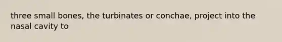 three small bones, the turbinates or conchae, project into the nasal cavity to