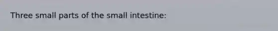 Three small parts of the small intestine: